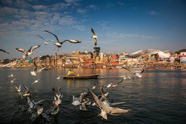 威尼斯9499(中国)官网登录入口