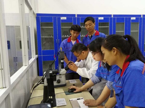 威尼斯9499(中国)官网登录入口