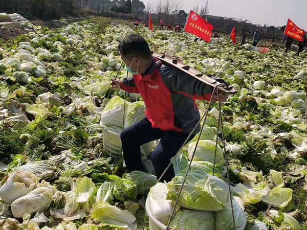 威尼斯9499(中国)官网登录入口