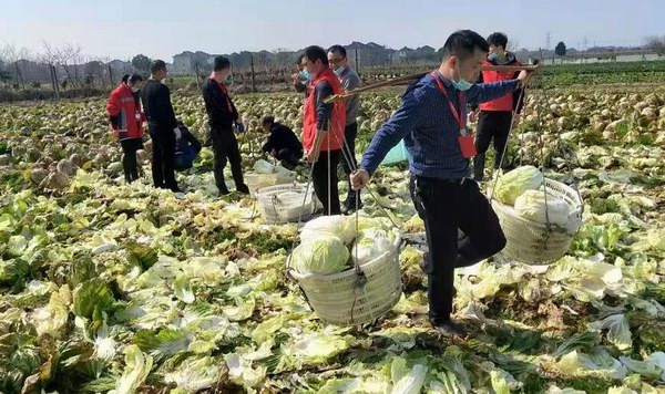 威尼斯9499(中国)官网登录入口