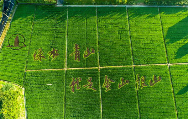 威尼斯9499(中国)官网登录入口