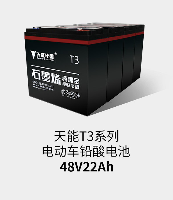 威尼斯9499T3系列48v22ah